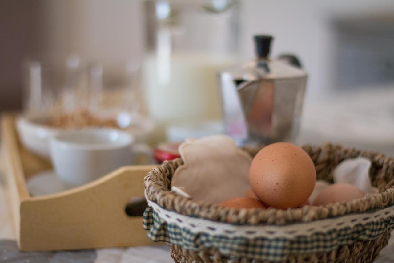 Agriturismo Masseria Casa Busciana 阿尔贝罗贝洛 外观 照片